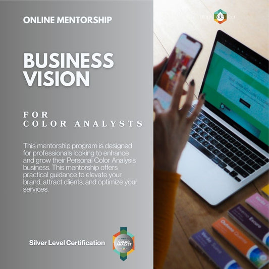 Online Mentorship - Business Vision